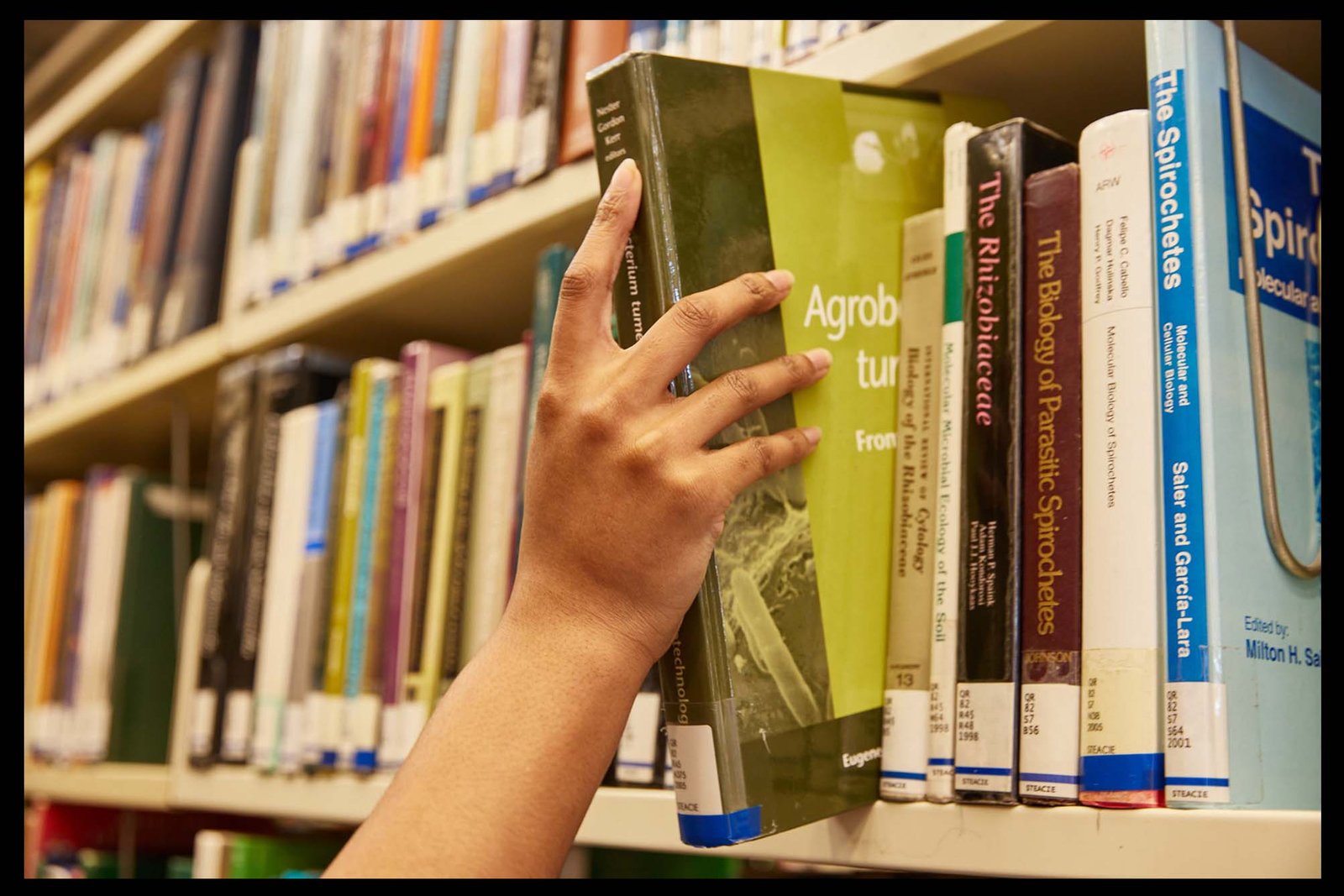 Inside the school library